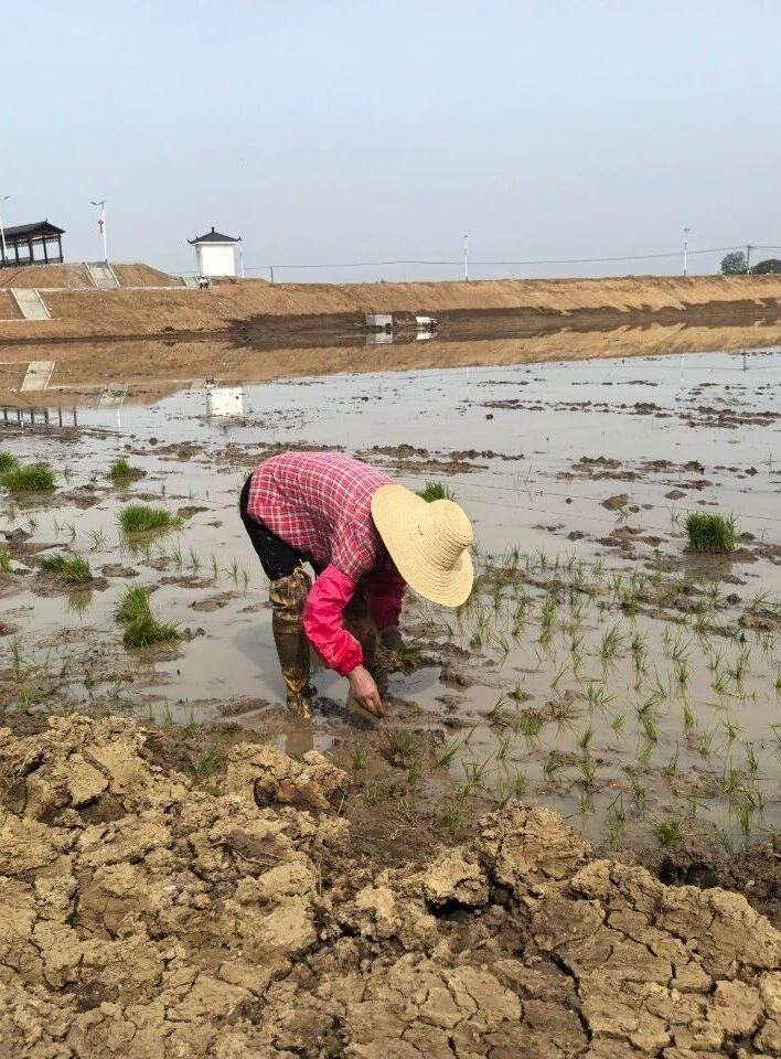 2025澳门原料免费大全2025